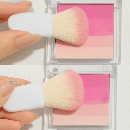 Set de Pinceaux de Maquillage Compact – Douceur et Précision au Quotidien
